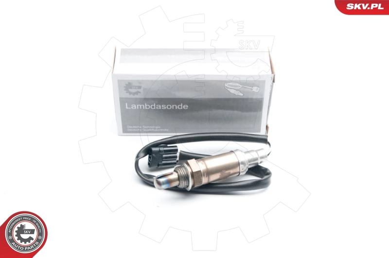 Oxygen Sensor
